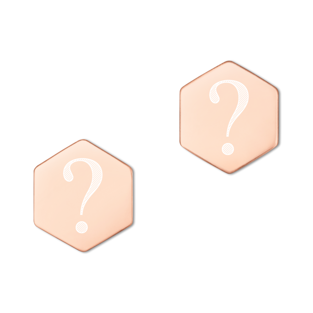 "Why?" Sterling Silver Hexagon Stud Earrings